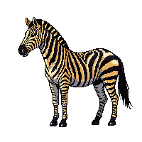 nature zebra striped african horse 040 v4 2026 03 25T19 14 54