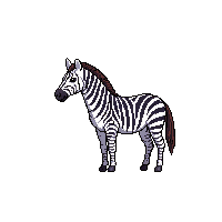 nature zebra striped african horse 070 v7 2026 03 25T19 14 54