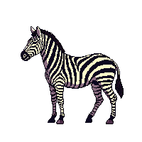 nature zebra striped african horse 090 v9 2026 03 25T19 14 54