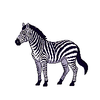 nature zebra striped african horse 100 v10 2026 03 25T19 14 54