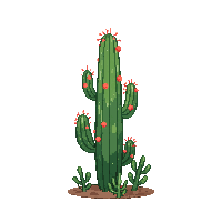 nature cactus desert spiny plant 056 v6 2026 03 25T19 14 54