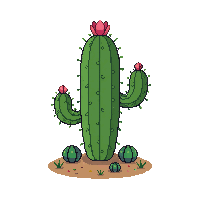 nature cactus desert spiny plant 086 v9 2026 03 25T19 14 54