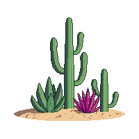 nature cactus desert spiny plant 096 v10 2026 03 25T19 14 54