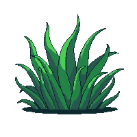 nature fern green forest plant 008 2026 03 25T19 14 54