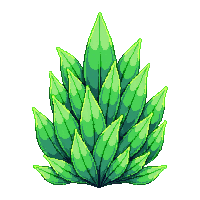 nature fern green forest plant 048 v5 2026 03 25T19 14 54