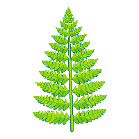 nature fern green forest plant 058 v6 2026 03 25T19 14 54