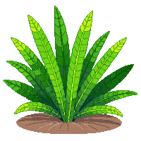 nature fern green forest plant 068 v7 2026 03 25T19 14 54