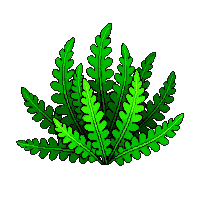 nature fern green forest plant 078 v8 2026 03 25T19 14 54