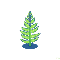 nature fern green forest plant 088 v9 2026 03 25T19 14 54