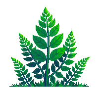 nature fern green forest plant 098 v10 2026 03 25T19 14 54