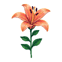nature lily flower elegant bloom 039 v4 2026 03 25T19 14 54