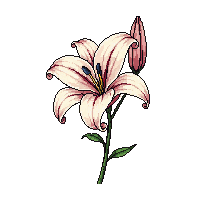 nature lily flower elegant bloom 079 v8 2026 03 25T19 14 54