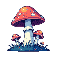 nature mushroom fungi forest growth 027 v3 2026 03 25T19 14 54