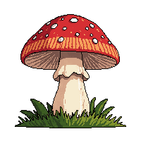 nature mushroom fungi forest growth 057 v6 2026 03 25T19 14 54