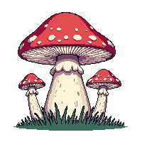 nature mushroom fungi forest growth 097 v10 2026 03 25T19 14 54