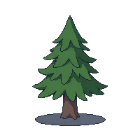 nature pine tree evergreen tree 022 v3 2026 03 25T19 14 54