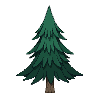 nature pine tree evergreen tree 052 v6 2026 03 25T19 14 54