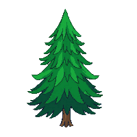 nature pine tree evergreen tree 092 v10 2026 03 25T19 14 54