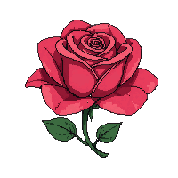 nature rose flower red bloom 074 v8 2026 03 25T19 14 54