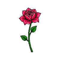 nature rose flower red bloom 084 v9 2026 03 25T19 14 54