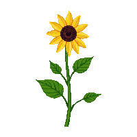 nature sunflower tall yellow flower 015 v2 2026 03 25T19 14 54
