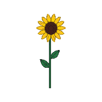 nature sunflower tall yellow flower 025 v3 2026 03 25T19 14 54