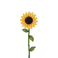 nature sunflower tall yellow flower 045 v5 2026 03 25T19 14 54