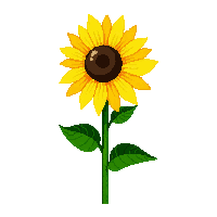 nature sunflower tall yellow flower 055 v6 2026 03 25T19 14 54