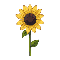 nature sunflower tall yellow flower 065 v7 2026 03 25T19 14 54