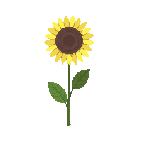 nature sunflower tall yellow flower 085 v9 2026 03 25T19 14 54