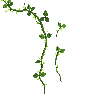 nature vine climbing growing plant 010 2026 03 25T19 14 54