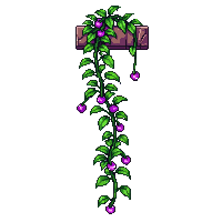 nature vine climbing growing plant 040 v4 2026 03 25T19 14 54