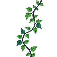 nature vine climbing growing plant 060 v6 2026 03 25T19 14 54