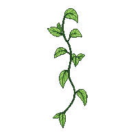 nature vine climbing growing plant 070 v7 2026 03 25T19 14 54