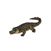 nature crocodile river predator scaly 041 v5 2026 03 25T19 14 54