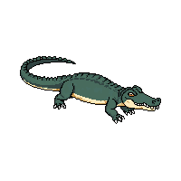 nature crocodile river predator scaly 051 v6 2026 03 25T19 14 54