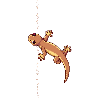 nature gecko climbing wall lizard 016 v2 2026 03 25T19 14 54