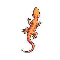nature gecko climbing wall lizard 036 v4 2026 03 25T19 14 54