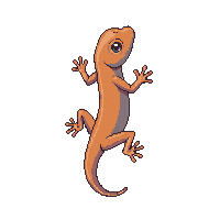 nature gecko climbing wall lizard 076 v8 2026 03 25T19 14 54