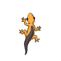 nature gecko climbing wall lizard 086 v9 2026 03 25T19 14 54