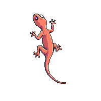 nature gecko climbing wall lizard 096 v10 2026 03 25T19 14 54