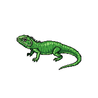 nature lizard iguana tropical reptile 003 2026 03 25T19 14 54