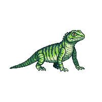 nature lizard iguana tropical reptile 073 v8 2026 03 25T19 14 54