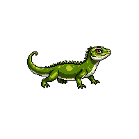 nature lizard iguana tropical reptile 083 v9 2026 03 25T19 14 54