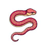 nature snake coiled slithering reptile 032 v4 2026 03 25T19 14 54