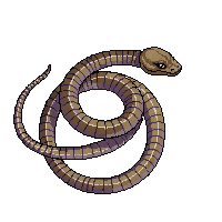 nature snake coiled slithering reptile 042 v5 2026 03 25T19 14 54