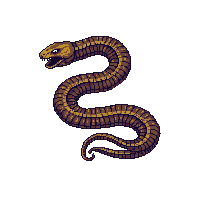 nature snake coiled slithering reptile 092 v10 2026 03 25T19 14 54