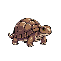 nature turtle shell slow reptile 005 2026 03 25T19 14 54