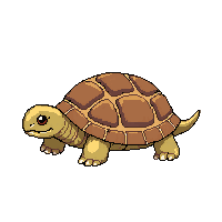 nature turtle shell slow reptile 015 v2 2026 03 25T19 14 54