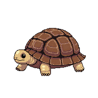 nature turtle shell slow reptile 045 v5 2026 03 25T19 14 54